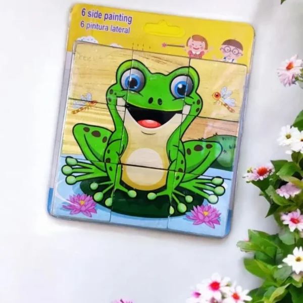 6 Side Painting Frog Puzzle Set